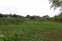 7 acres of commercial land for sale in Seguku Katale at 700m each