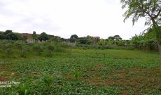 7 acres of commercial land for sale in Seguku Katale at 700m each