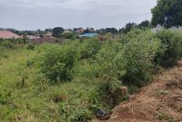 8 acres of land for sale in Masese Jinja at 3 billion shillings