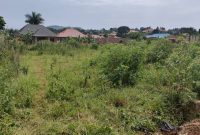 25 decimals lake view land for sale in Busabala at 160m