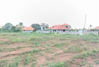 50x100ft plot of land for sale in Kira Kitukutwe at 70m