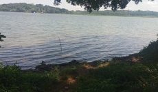 76 acres of lake shore land for sale in Kawuku Bugiri Bwerenga at 330m