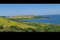 3.5 square miles for sale in Buvuma Island going for 7m per acre