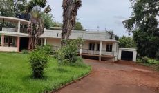 5 bedrooms house for sale in Jinja on 1 acre at350,000 USD