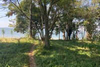 Lake Shore land for sale in Garuga Pearl Marina at $370,000