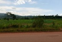 23.5 acres of commercial land for sale in Myanzi Mityana road at 25m per acre