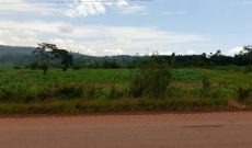23.5 acres of commercial land for sale in Myanzi Mityana road at 25m per acre