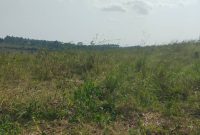 10 acres of land for sale in Nazigo Mukono at 50m per acre