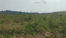 10 acres of land for sale in Nazigo Mukono at 50m per acre