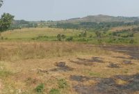 340 acres for sale inLwengo Masaka at 8m Uganda shillings