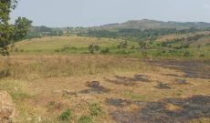 340 acres for sale inLwengo Masaka at 8m Uganda shillings