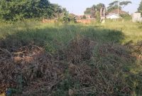 50 decimals plot of land for sale in Bunga at 800m