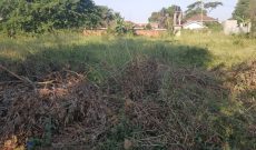 50 decimals plot of land for sale in Bunga at 800m