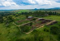 3.5 square miles farm for sale in Mubende at $4.5m