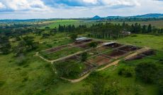 3.5 square miles farm for sale in Mubende at $4.5m