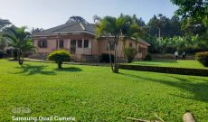 4 bedrooms hosue for sale in Gayaza on 1 acre at 350m