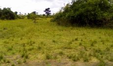 46 acres of farm land for sale in Bugembo Bbaale road at 4.5m per acre