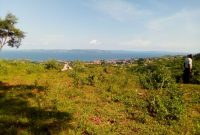7 acres for sale in Lukalu Kiyindi at 35m per acre