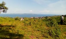 7 acres for sale in Lukalu Kiyindi at 35m per acre