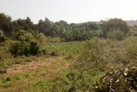 10 acres of lake view land for sale in Nkokonjeru at 30m per acre