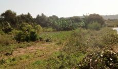 10 acres of lake view land for sale in Nkokonjeru at 30m per acre