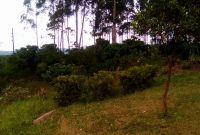 7 acres of land for sale in Buwooya Buikwe at 18m per acre