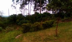 7 acres of land for sale in Buwooya Buikwe at 18m per acre