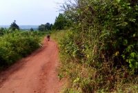 40 decimals of land for sale in Ssi Muvo Buikwe at 13m per acre