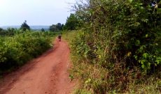 40 decimals of land for sale in Ssi Muvo Buikwe at 13m per acre