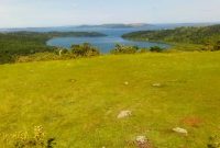 13 acres of land for sale in Busagazi Buikwe at 20m per acre