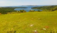 13 acres of land for sale in Busagazi Buikwe at 20m per acre