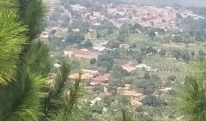 60 acres of land for sale in Kamengo Masaka road at 60m