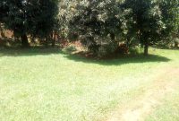 25 decimals of land for sale in Mawanda Road 650m