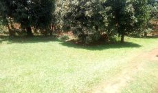 25 decimals of land for sale in Mawanda Road 650m