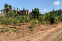 20 decimals plot of land for sale in Muyenga Bukasa at 250m