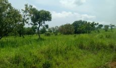 4.9 square miles of farmland for sale in Amuru Northern Uganda at 1.8m per acre