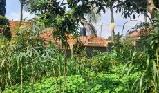 50 decimals plot of land for sale in Kyanja Komamboga at 550m