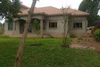 4 bedrooms house for sale in Nkumba with lake view on 25 decimals at 450m