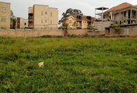 81 decimals plot of land for sale in Najjera at 650m