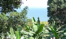 70 decimals lake view plot of land for sale in Kigo at 700m