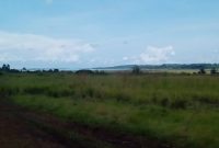 75 acres of land for sale in Ssisa Kajjansi town council at 65m