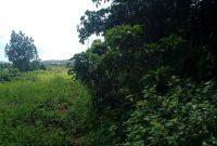 100 acres of Lake shore farmland for sale in Kayunga at 4.5m per acre