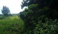 100 acres of Lake shore farmland for sale in Kayunga at 4.5m per acre