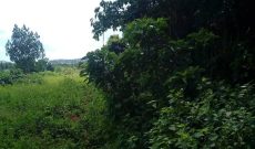 150 acres of farmland for sale in Mazzi at 3.5m per acre