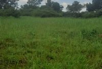 20 acres of land for sale in Luwero at 13m per acre