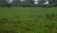 20 acres of land for sale in Luwero at 13m per acre