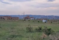 50x100ft plots for sale in Sonde Namugongo at 70m each