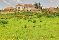 4 plots of 50x100ft for sale in Kira Kasangati road at 65m each