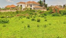 4 plots of 50x100ft for sale in Kira Kasangati road at 65m each