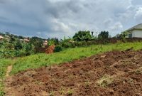 50x100ft plot of land for sale in Seeta Bajjo at 35m